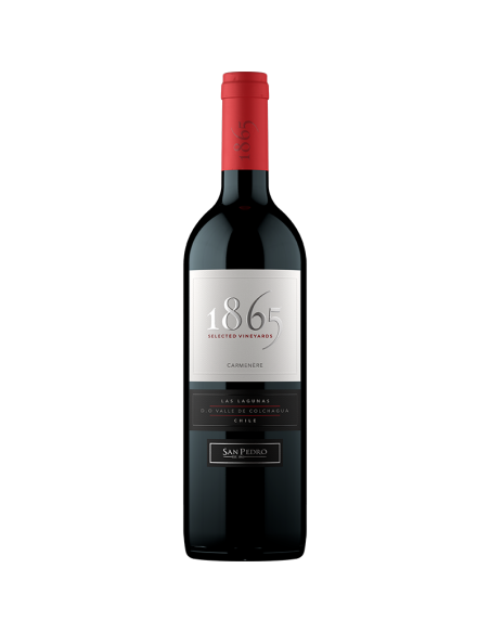 1865 Carmenére 1865  1865 Carmenére 1865