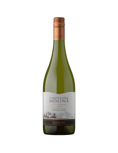 Castillo de Molina Sauvignon Blanc Elqui Castillo De Molina 