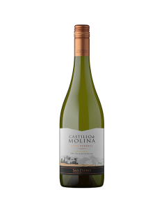 Castillo de Molina Chardonnay Castillo De Molina