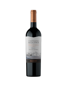 Castillo de Molina Merlot Castillo De Molina