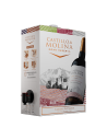 2 Bag in Box Castillo de Molina Cabernet Sauvignon Castillo De Molina 