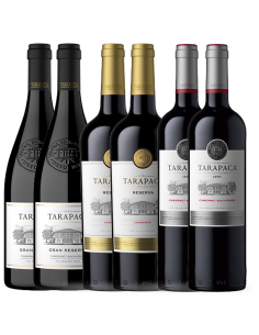 Pack Familia Tarapacá