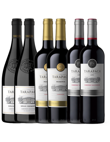 Pack Familia Tarapacá  