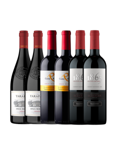 Especial Valle del Maipo